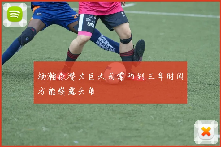 杨瀚森潜力巨大或需两到三年时间方能崭露头角