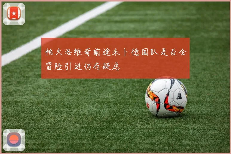 帕夫洛维奇前途未卜德国队是否会冒险引进仍存疑虑