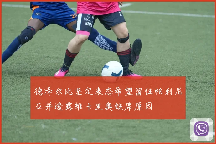 德泽尔比坚定表态希望留住帕利尼亚并透露维卡里奥缺席原因