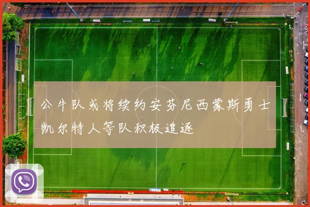 公牛队或将续约安芬尼西蒙斯勇士凯尔特人等队积极追逐
